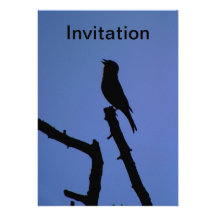 Chaffinch Singing Invitation