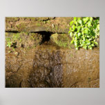 Chagrin Falls (part 2) Posters