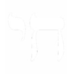 CHAI  WHITE t-shirts