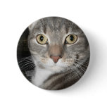 Chairman Meow Pins