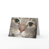 Chairman Meow Greeting Card (blank inside)