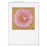 Chambered Nautilus & Pink flower Greeting Card