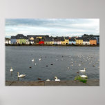 Chambres irlandaises affiche