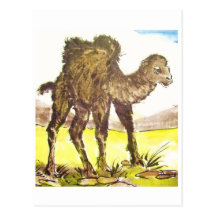 Chameau de gibier, gibier Camel * art animal * Ani Carte Postale