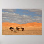 Chameaux en affiche de désert du Sahara