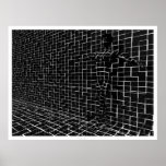 Chamelea Poster