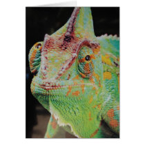 Chameleon