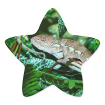 Chameleon changing in green environment