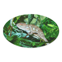 Chameleon changing in green environment