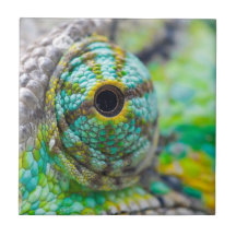 Chameleon eye ceramic tiles