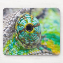 Chameleon eye mousepads