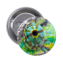 Chameleon eye pinback buttons