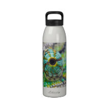 Chameleon eye reusable water bottle