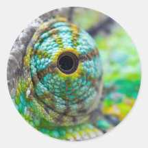 Chameleon eye sticker