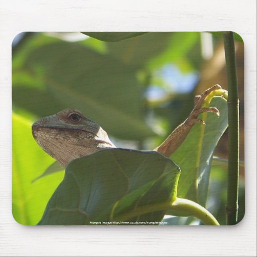 Chameleon Mouse Pads