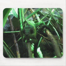 Chameleon Mouse Pads