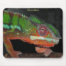 Chameleon Mousepad