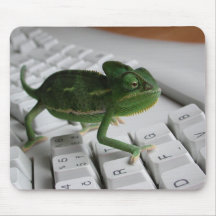 Chameleon on Keyboard Mousepad