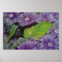chameleon posters