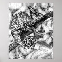 chameleon posters