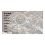 Chameleon waiting for prey business card templates
