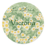 Chamomiles Ex Libris Round Stickers