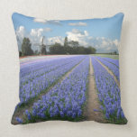 Champ bleu Hollande de jacinthes Oreiller