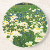 Champ de caboteur de fleurs dessous de verre