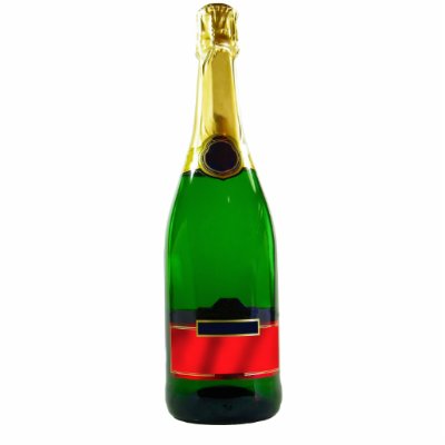Champagne Bottle Photo Sculpture by superdumb