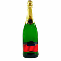 Champagne Bottle Photo Sculpture