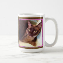 Champagne Burmese in a Box Coffee Mug