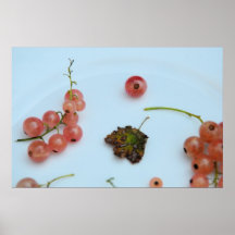 Champagne Currants Poster