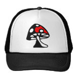 Champignon Casquette