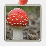 Champignon d'agaric de mouche ornements