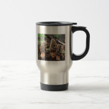 Champignon de morelle à aller tasse de café