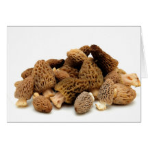 Champignon de morelle cartes de vœux