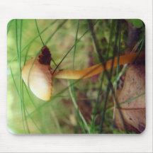 Champignon et une photo de feuille tapis de souris