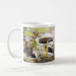 Champignon magique mug à café