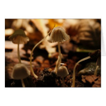 Champignon minuscule cartes de vœux