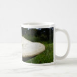 Champignon Tasses À Café