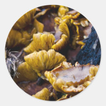 Champignons d'or adhésif