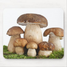 Champignons edulis de boletus tapis de souris
