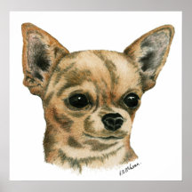 Champion de chiwawa de Smoothcoat Affiches