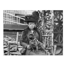 Champion French Bulldog, 1920s Post Card