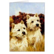 Champion Westhighland White Terriers Cards