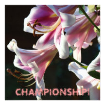 CHAMPIONSHIP MEET! Event Notice Cards Sports Invitations