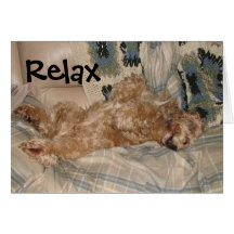 Chance Relax Cards