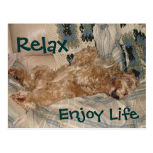 Chance Relax Postcards