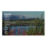 Chandalar River in summer Business Card