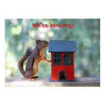 Change of Address/Housewarming Party Squirrel Personalized Announcement